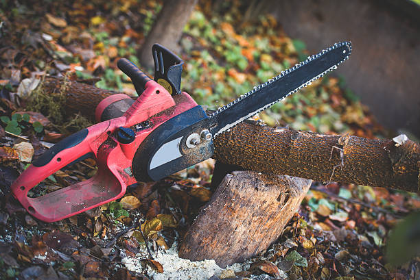 Best Lawn Watering Services  in Security Widefield, CO